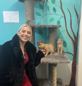 Miller partners with Newcastle Dog and Cat Shelter to fundraise in 2023.